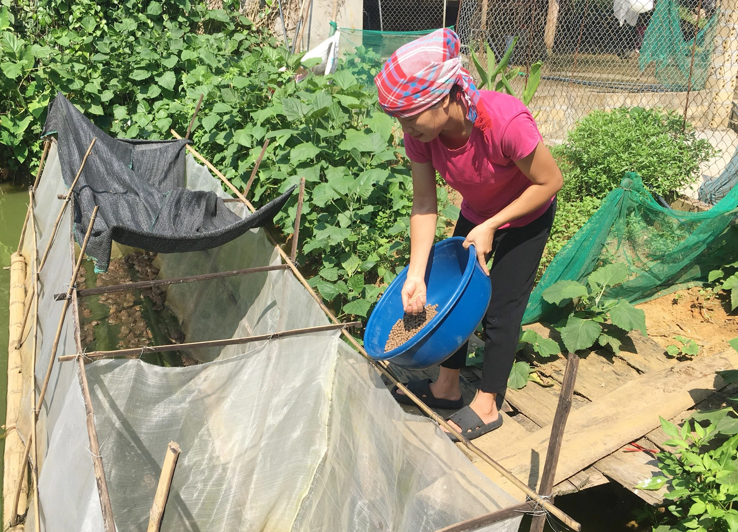 Tôi là đảng viên ảnh 3