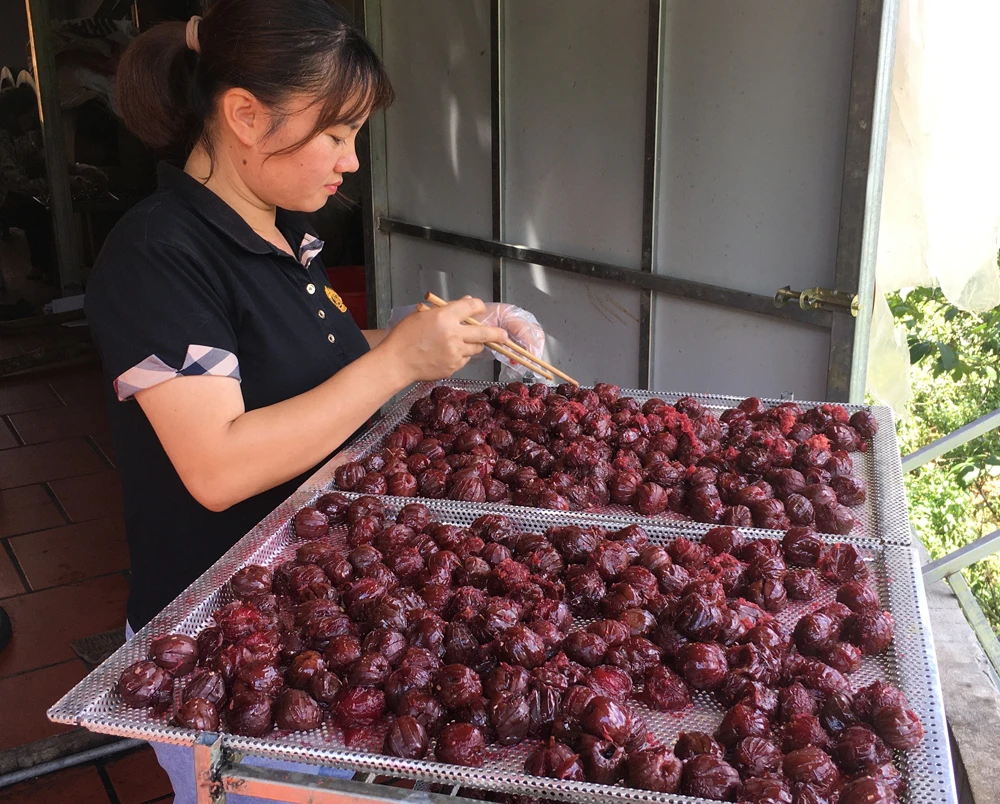 Chị Sải Thị Bích Huế chế biến mứt mận