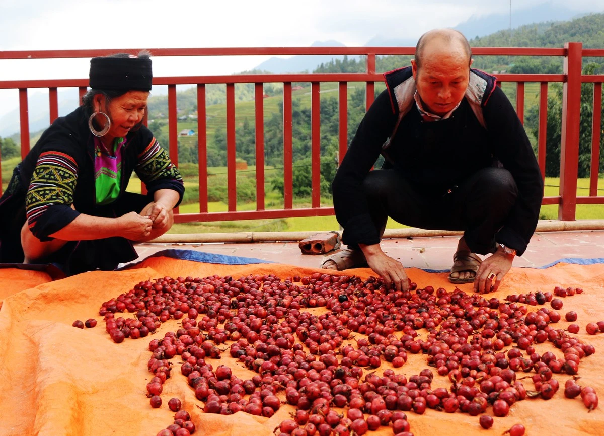 Chuyện người dẫn lối ảnh 1