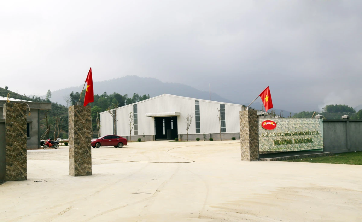 Nhà máy Chế biến rau quả xuất khẩu của Công ty Cổ phần thực phẩm Á Châu (xã Lùng Vai, huyện Mường Khương) nơi xảy ra vụ ngộ độc thực phẩm.