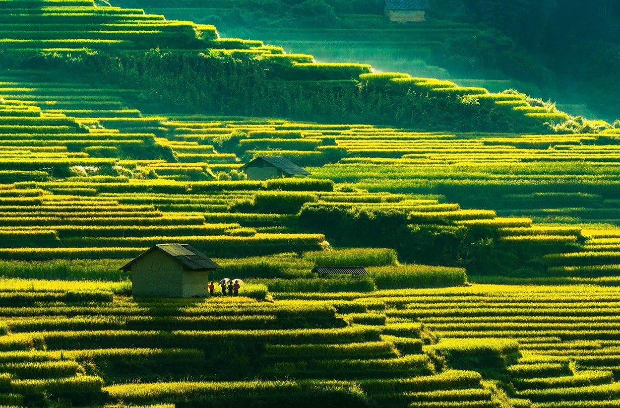 Lào Cai có 6 nhiếp ảnh gia được chọn tác phẩm triển lãm Ảnh nghệ thuật quốc tế lần thứ 11 ảnh 1