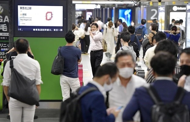 Thủ tướng Nhật Bản trấn an người dân sau trận động đất rung chuyển Tokyo tối 7-10 ảnh 1