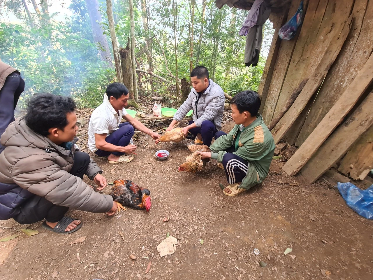Giữ mãi cánh rừng xanh ảnh 2