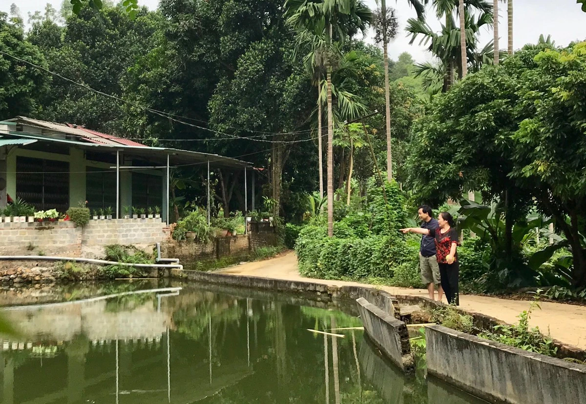 Làng Vĩ Kim bình dị với những ngôi nhà vườn.