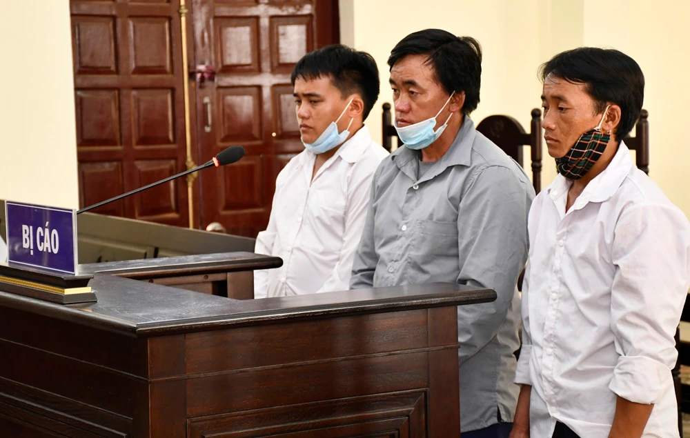 Án tù cho những kẻ phá rừng ảnh 1
