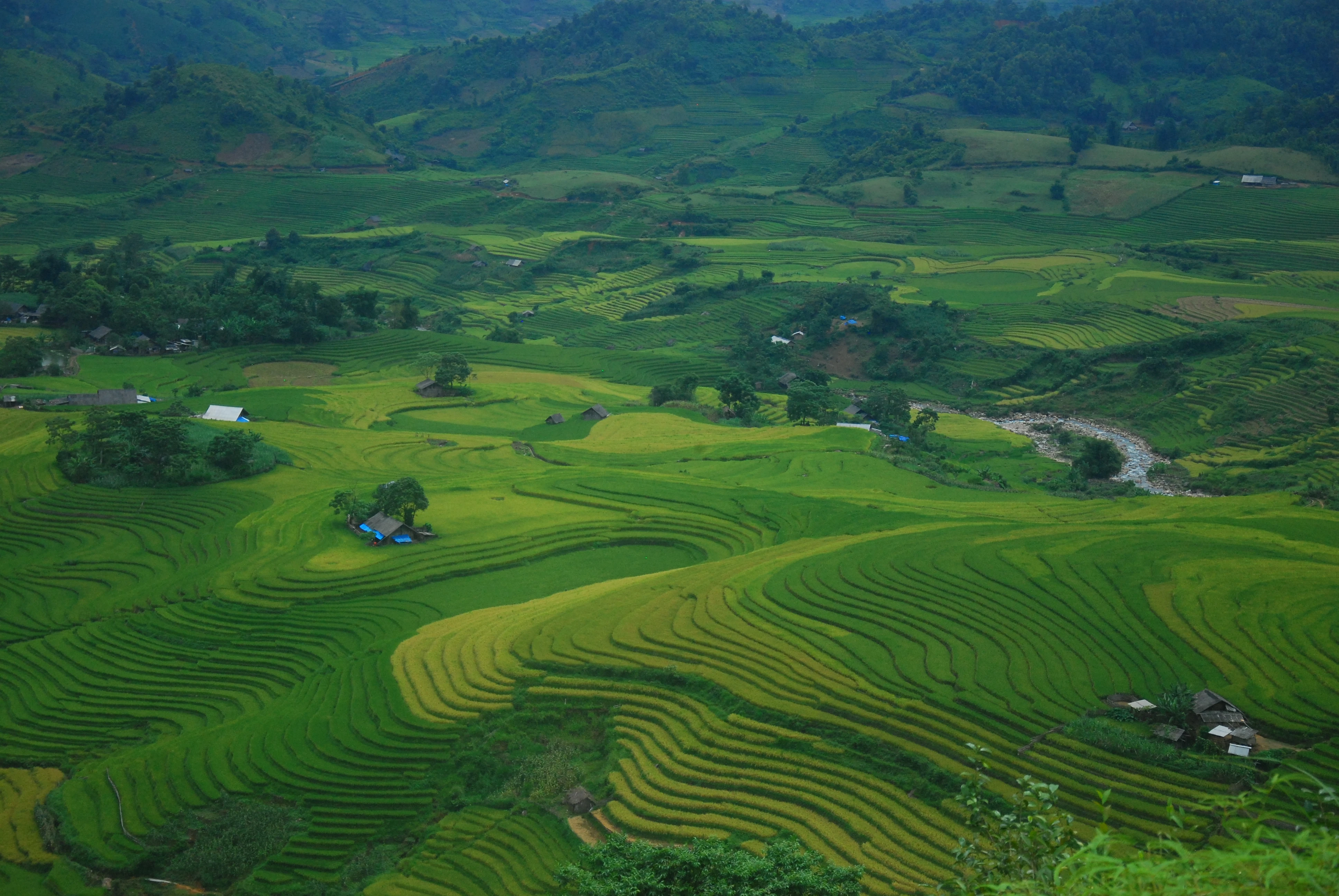 Nhiều giải pháp quảng bá du lịch Bát Xát ảnh 1 Nhiều giải pháp quảng bá du lịch Bát Xát ảnh 1