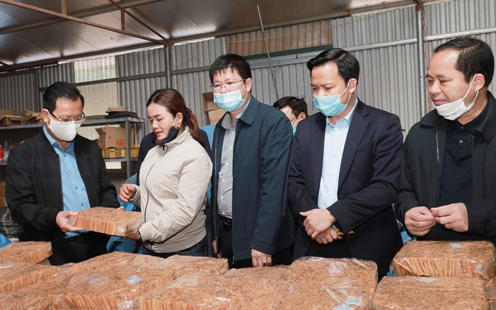 Phó Chủ tịch UBND tỉnh Hoàng Quốc Khánh (ngoài cùng, bên trái) thăm Hợp tác xã Tâm Hợi (Bảo Thắng).