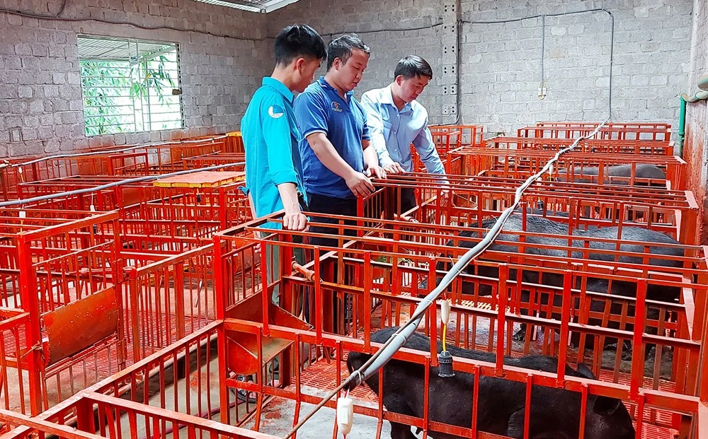 Các đảng viên trẻ huyện Si Ma Cai tích cực phát triển kinh tế, giảm nghèo bền vững.