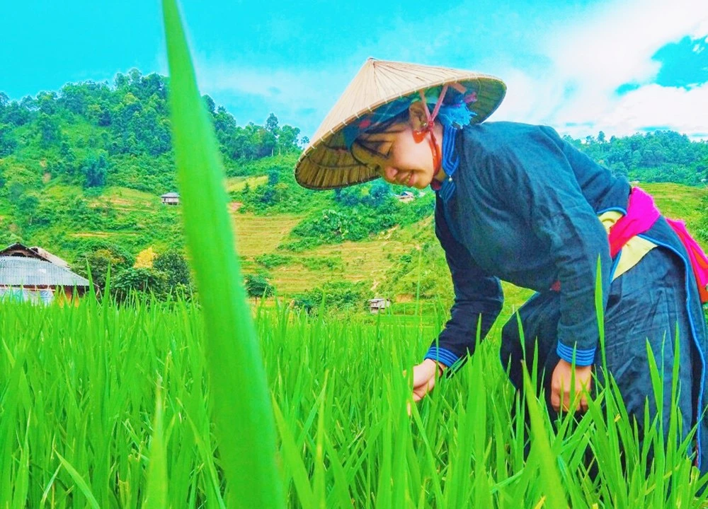 Nón là vật dụng quen thuộc của phụ nữ Tày ở Bản Liền.