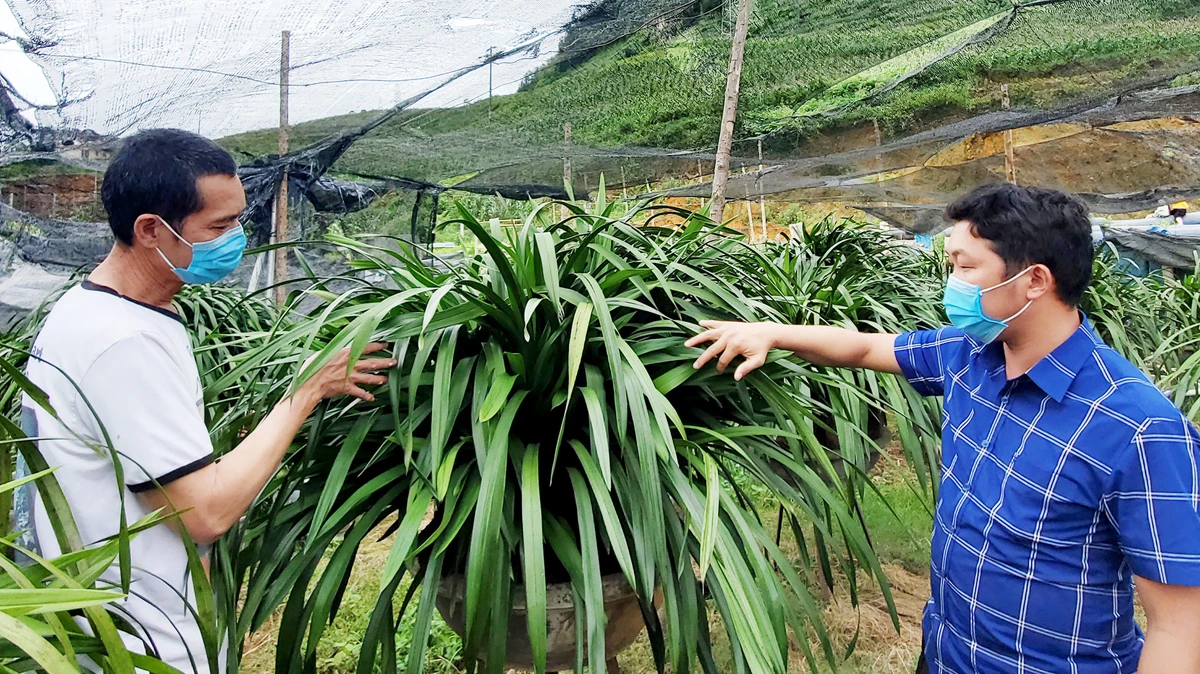 Nông dân Sa Pa được tiếp cận các nguồn vốn vay ưu đãi thông qua Hội Nông dân.