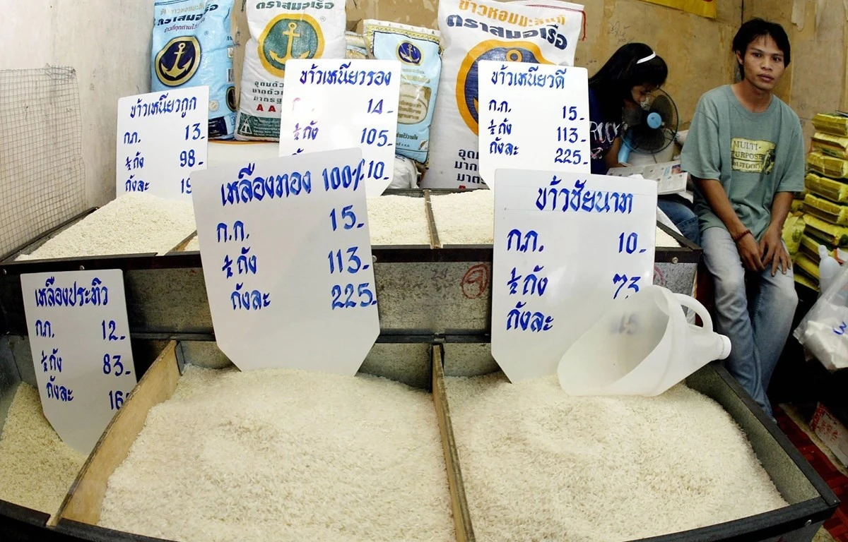 Giá gạo Thái Lan thấp nhất trong 18 tháng, giá gạo Việt Nam tăng nhẹ ảnh 1