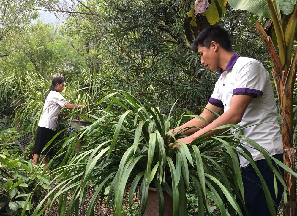 Chi bộ thôn Can Hồ Mông lãnh đạo Nhân dân thoát nghèo ảnh 1