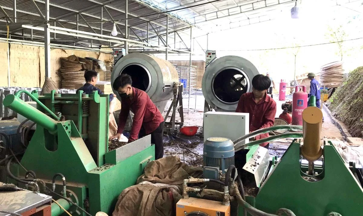 Công nhân Công ty TNHH MTV Mường Hoa đảm bảo tiến độ công việc.