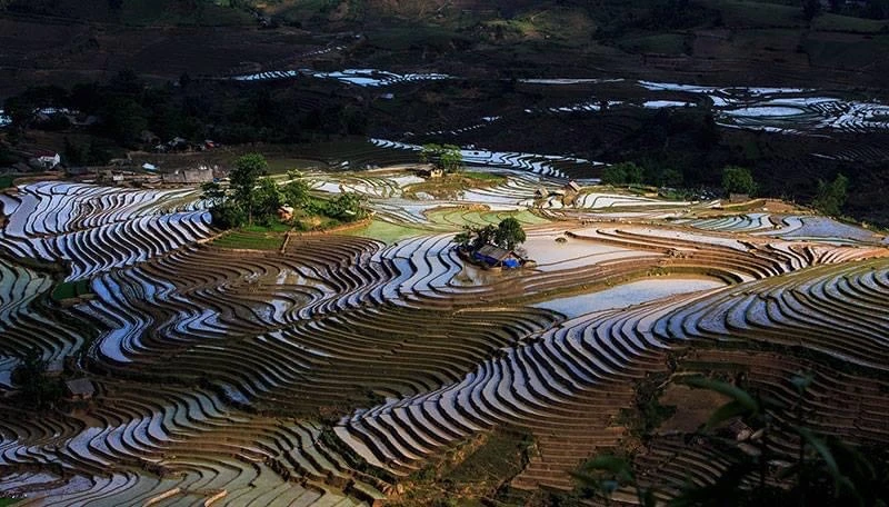 Mùa nước đổ ở vùng cao Lào Cai. Các tràn ruộng bạc thang như những tấm gương lớn phản chiếu lên trời. Sắc màu lạ. Nông dân vùng cao Sa Pa vào vụ cấy. Sau mùa nước đổ, bà con tranh thủ làm đất chuẩn bị mùa cấy. Vùng cao Bát Xát mùa nước đổ.