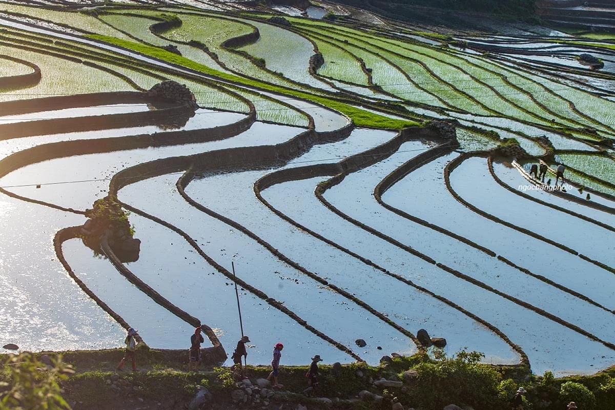 Mùa nước đổ ở vùng cao Lào Cai. Các tràn ruộng bạc thang như những tấm gương lớn phản chiếu lên trời. Sắc màu lạ. Nông dân vùng cao Sa Pa vào vụ cấy. Sau mùa nước đổ, bà con tranh thủ làm đất chuẩn bị mùa cấy. Vùng cao Bát Xát mùa nước đổ.
