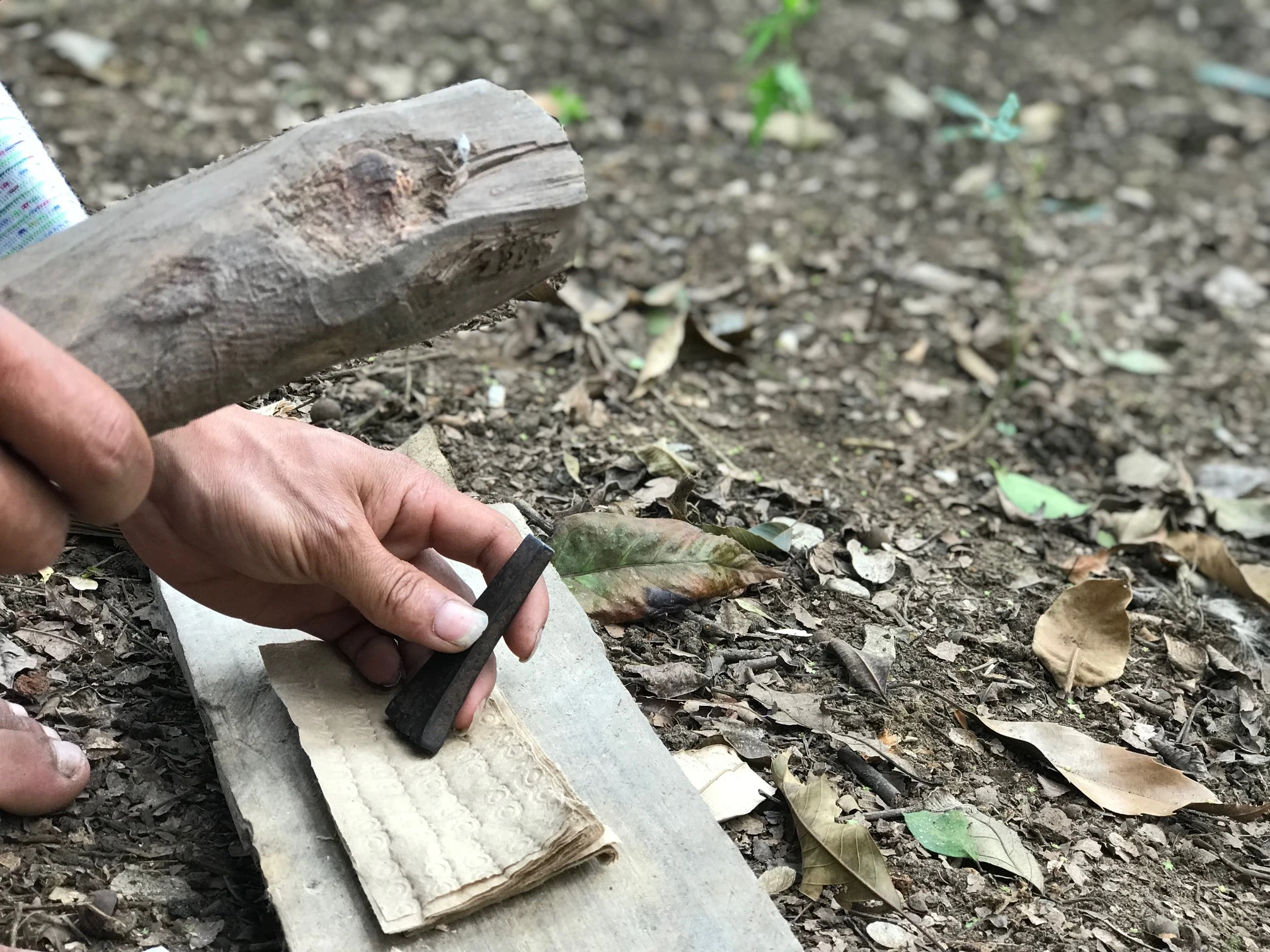 Giữ mãi cánh rừng xanh ảnh 5