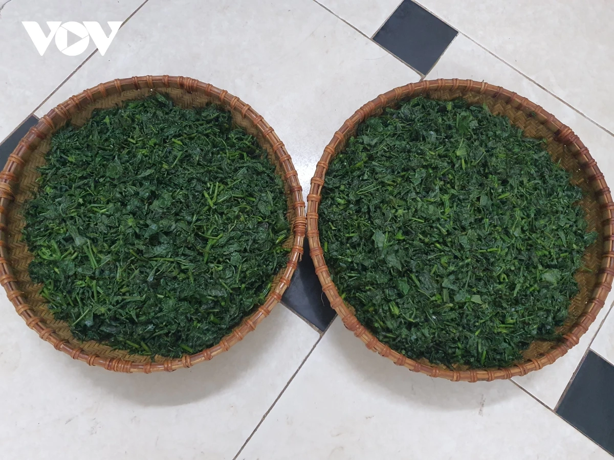 Rau sắn sau khi bóp muối, vắt bỏ nước ngái. Rau sắn được bà con muối trong chum, vại.