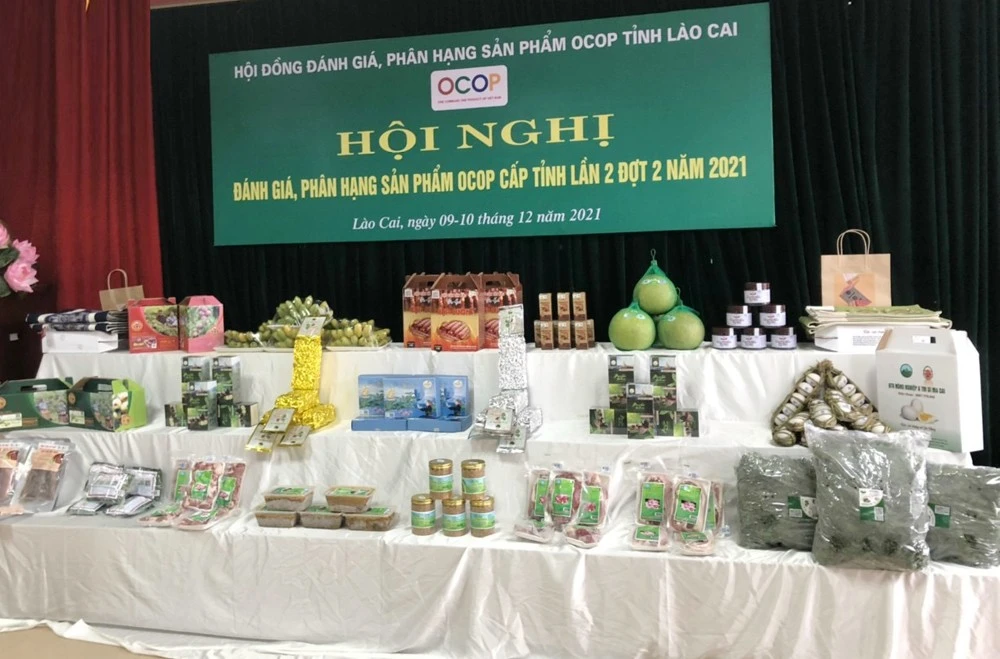 Các sản phẩm OCOP được đánh giá, chấm điểm ngày 9/12.