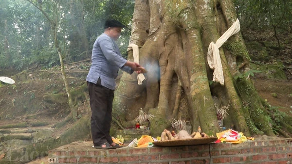 Thầy cúng làm lễ cúng rừng