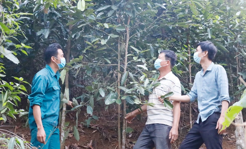 Quê hương phát triển, người dân Bảo Thắng thi đua lao động sản xuất.