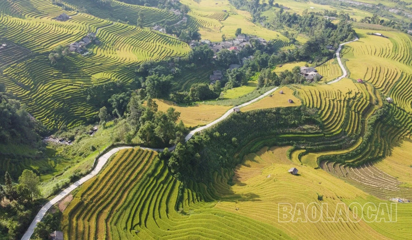 Triển khai Chương trình MTQG DTTS và miền núi với quyết tâm cao nhất ảnh 5