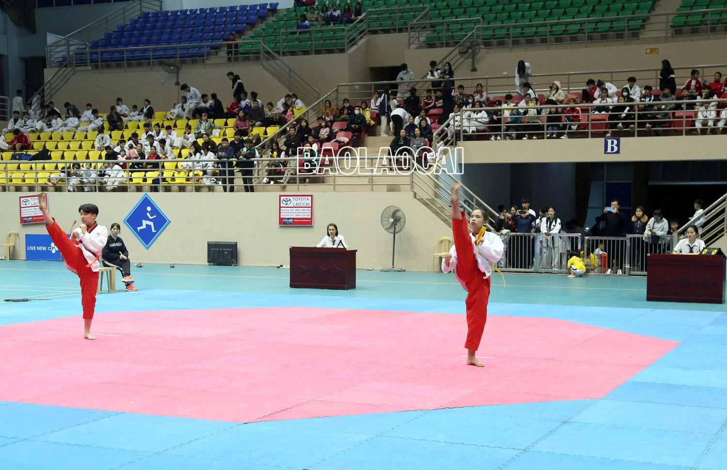 Gần 300 vận động viên tham dự Giải Taekwondo các lứa tuổi trẻ tỉnh Lào Cai năm 2023 ảnh 4