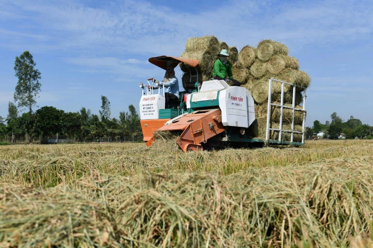 Phương pháp xử lý rơm thân thiện môi trường ở Việt Nam lên truyền thông quốc tế ảnh 1