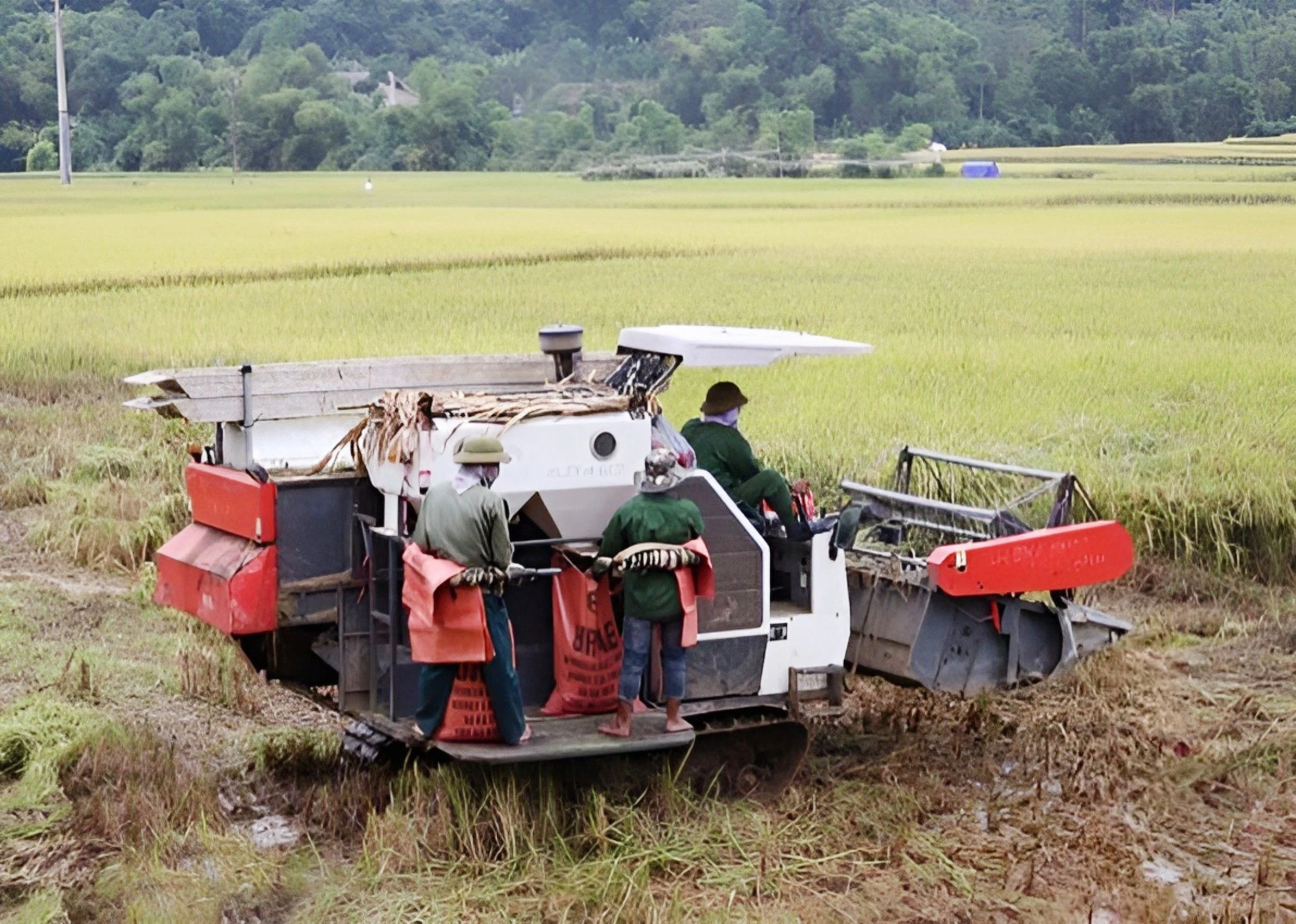 Đẩy mạnh cơ giới hóa sản xuất nông - lâm nghiệp sẽ giúp huyện Văn Bàn nâng cao hiệu quả và giá trị trên 1 đơn vị diện tích canh tác.