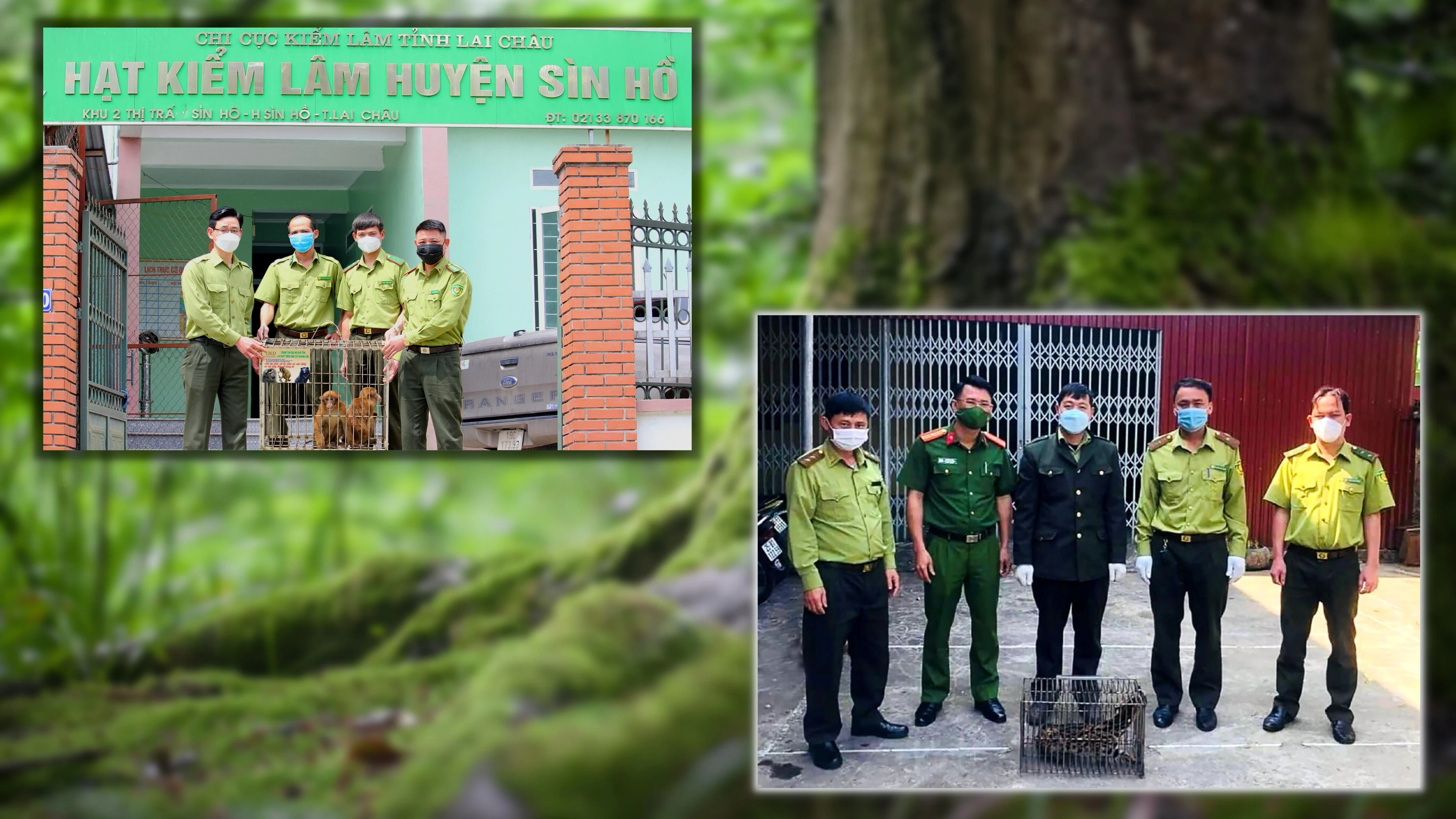“Ân nhân” của động vật hoang dã ảnh 2