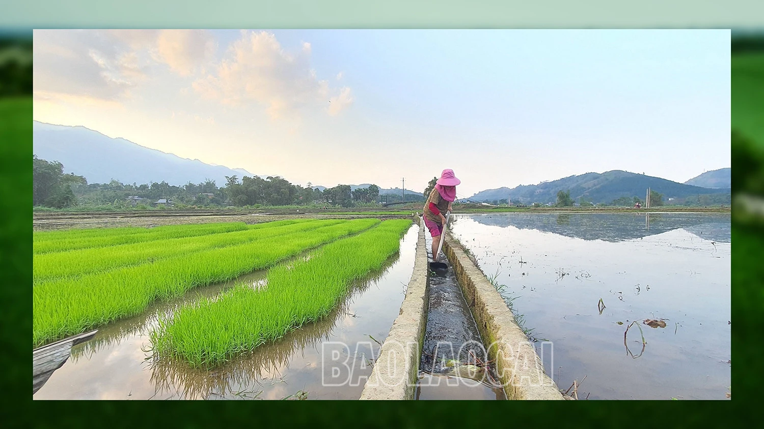 Đảm bảo nước cho sản xuất vụ xuân ảnh 2
