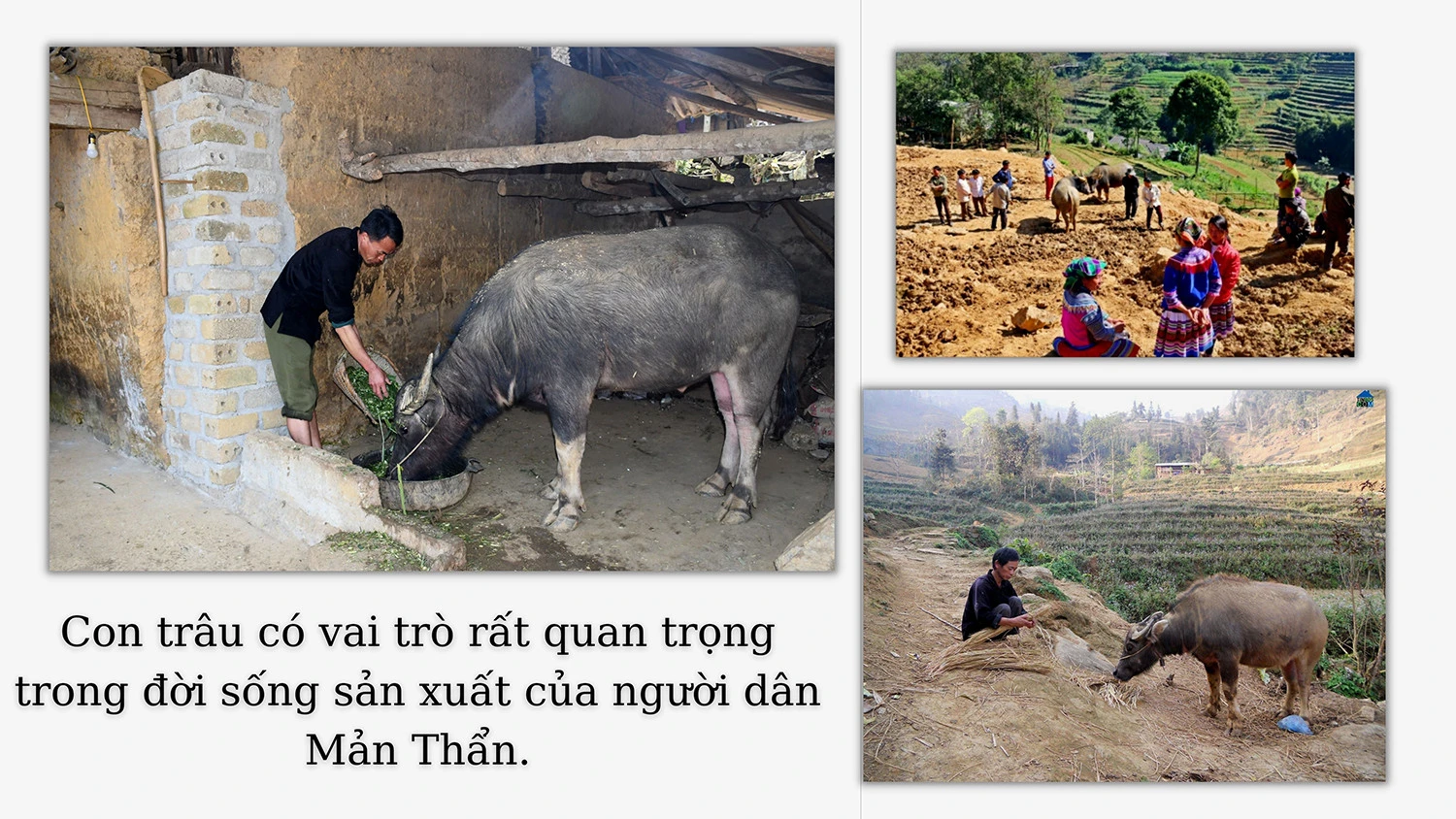 “Bảo hiểm” của người dân Mản Thẩn ảnh 3