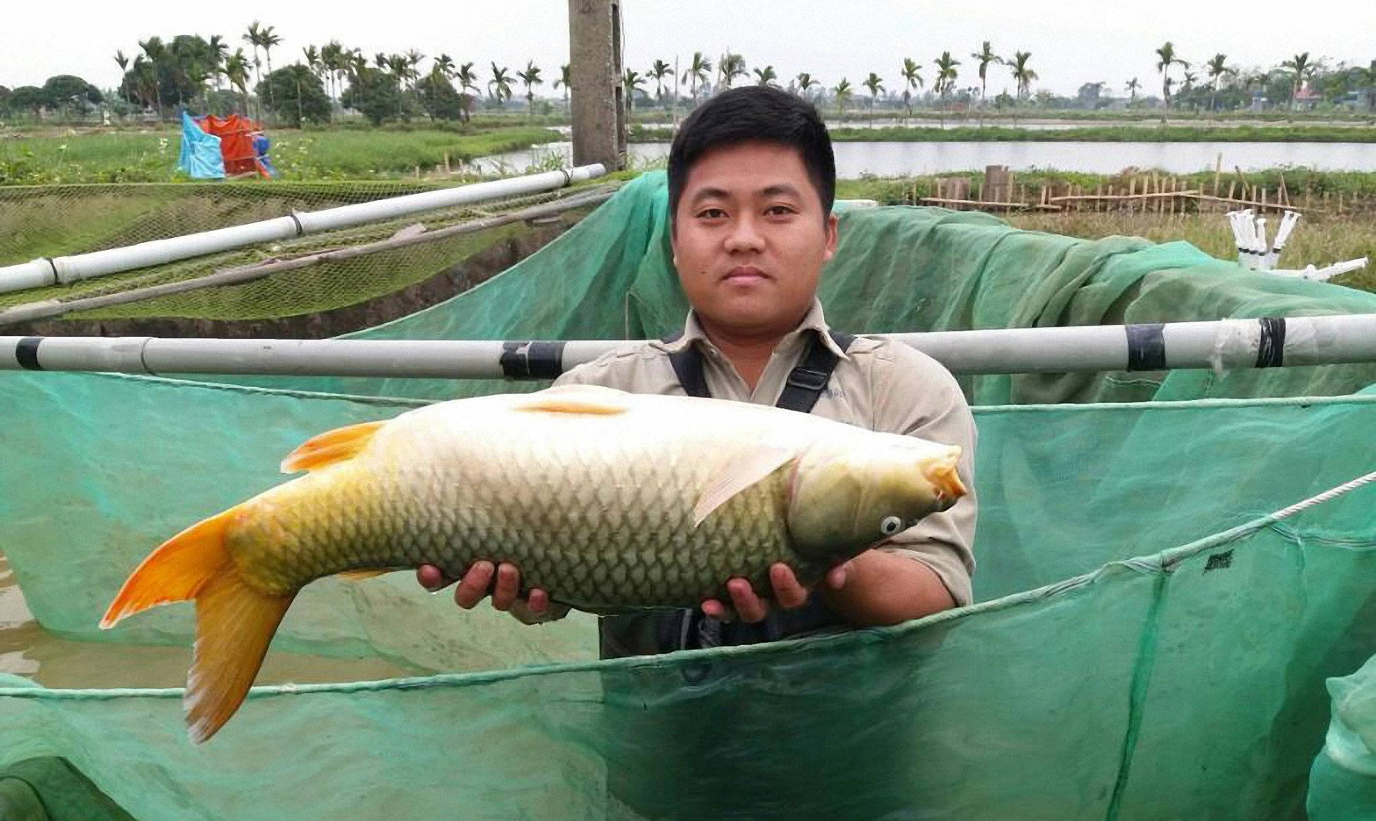 Xây dựng các chuỗi nông sản an toàn ảnh 2