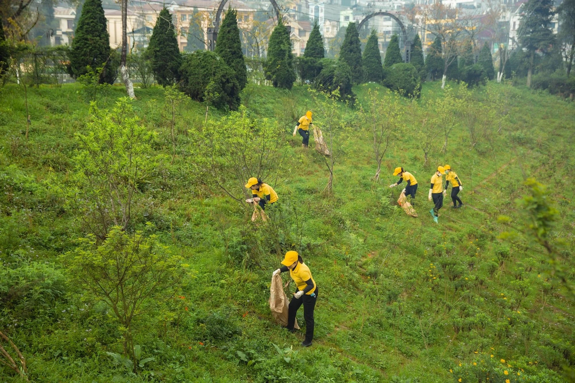 Chương trình thu hút hơn 600 tình nguyện viên tham gia.