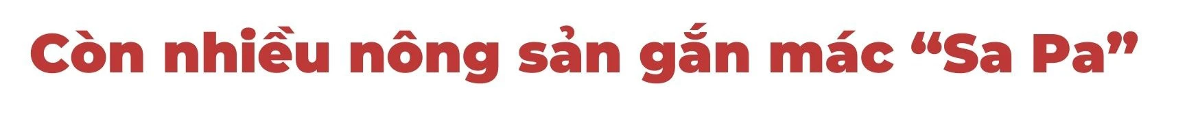 Nhức nhối nông sản gắn mác “Sa Pa” ảnh 5