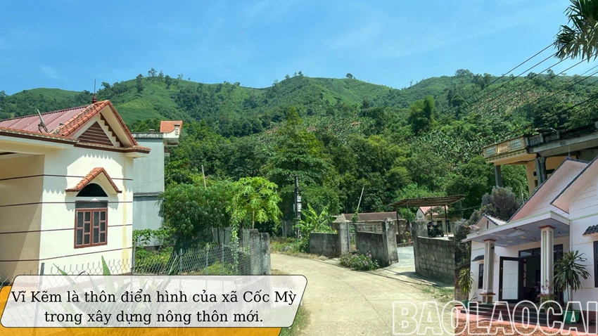 Về miền ấm no ảnh 1