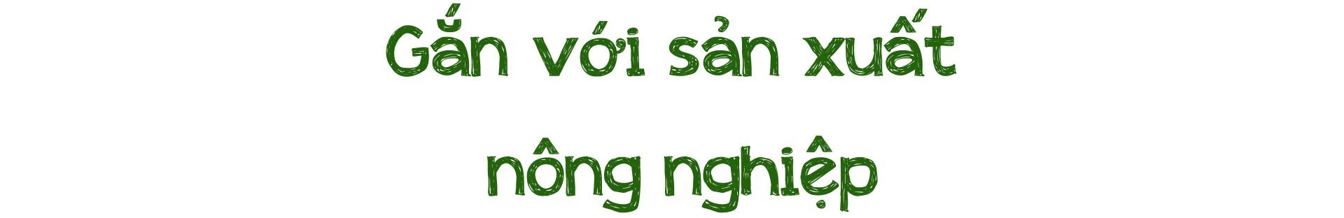 Chàng trai người Tày "thắp lửa" du lịch cộng đồng ảnh 5