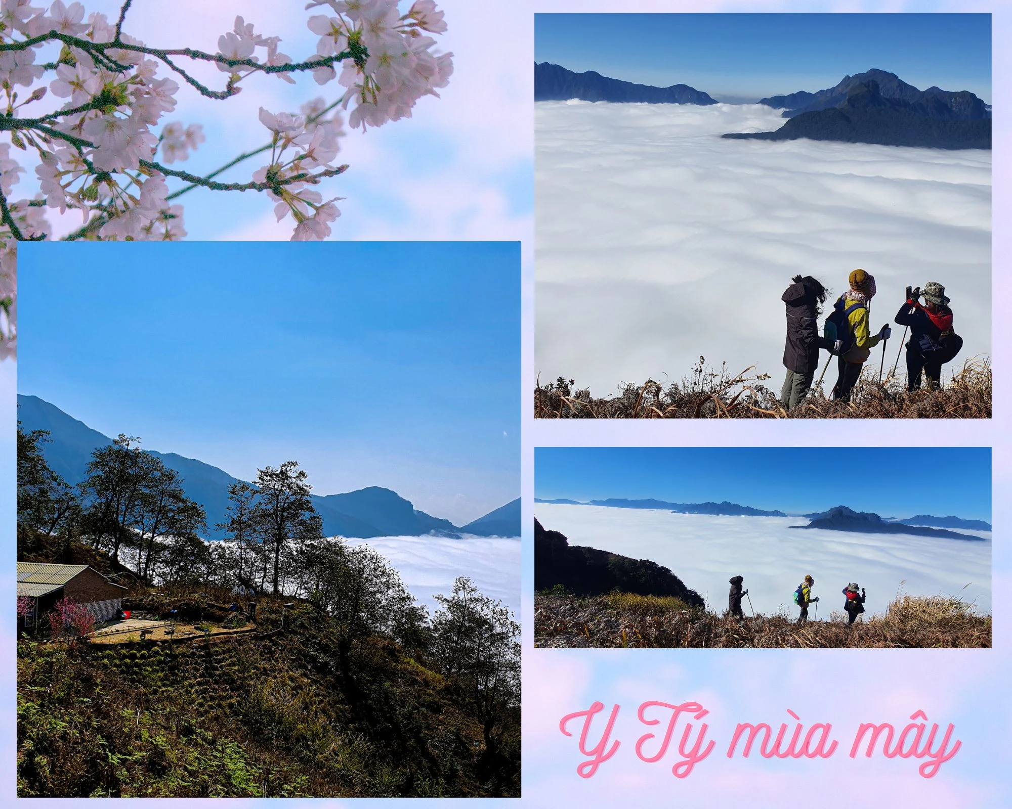 Giấc mơ vùng đất mờ sương ảnh 2