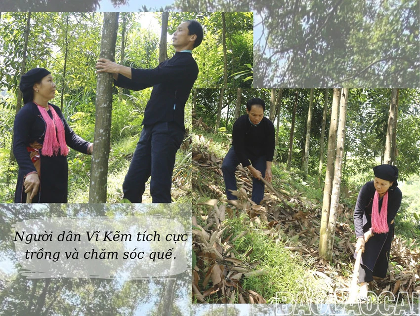 Về miền ấm no ảnh 3