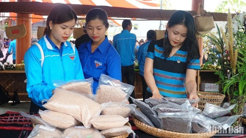 Giới thiệu các gian hàng nông sản của thanh niên huyện miền núi A Lưới, tỉnh Thừa Thiên Huế.