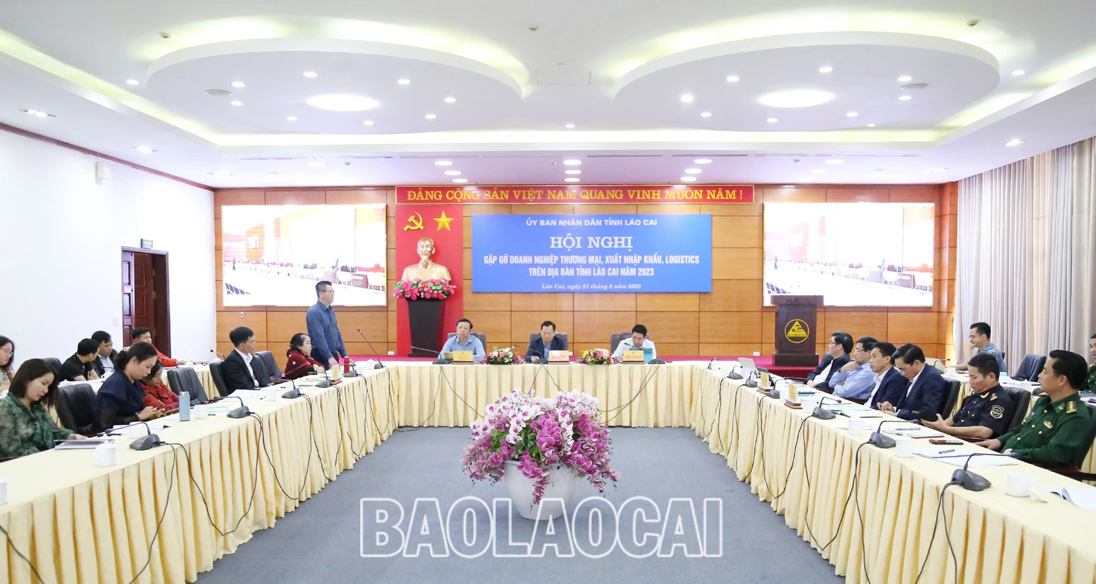 UBND tỉnh gặp gỡ doanh nghiệp thương mại, xuất - nhập khẩu, logistics ảnh 1