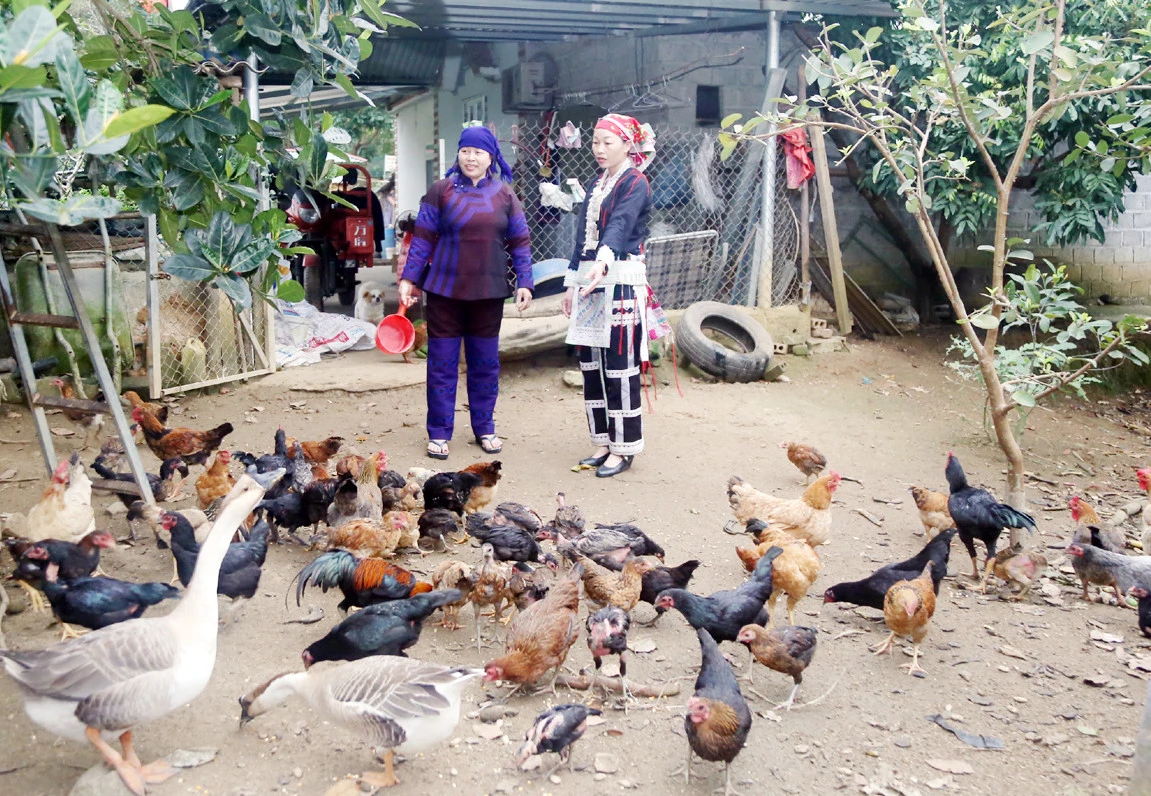Chị Phàn Thị Lệ Thủy (bên phải ảnh) vận động bà con chuyển đổi cơ cấu cây trồng, vật nuôi.