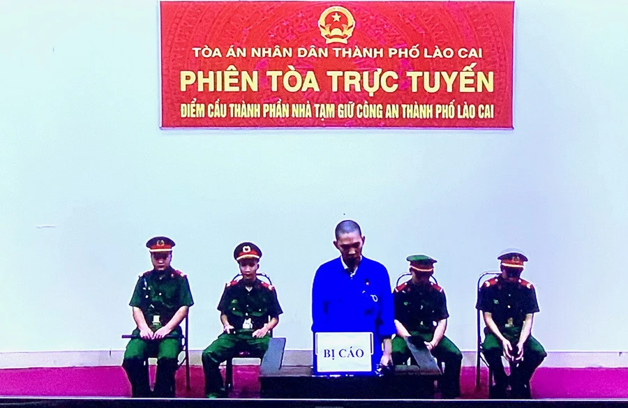 Tổ chức phiên tòa xét xử trực tuyến đầu tiên ảnh 3