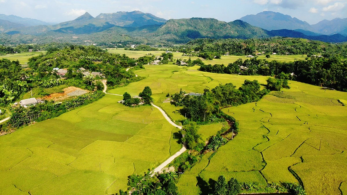 Đổi thay Nghĩa Đô.