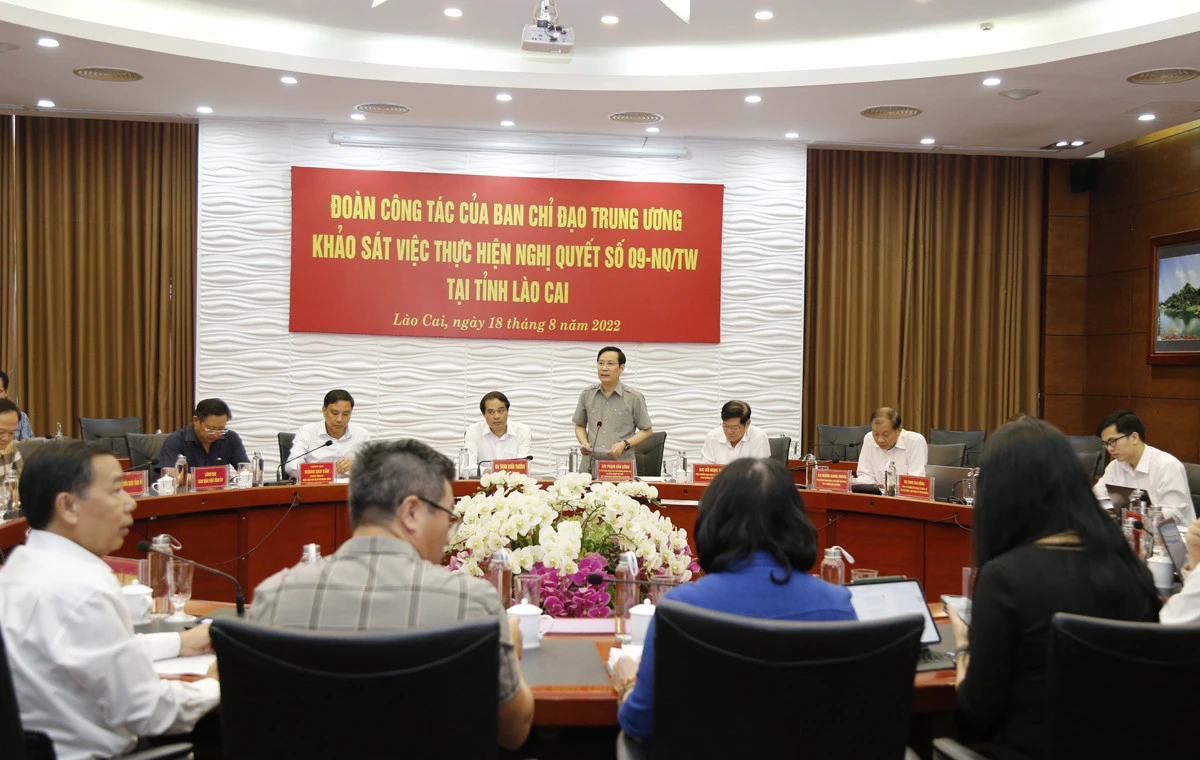 Lào Cai quan tâm xây dựng và phát triển đội ngũ doanh nhân ảnh 1