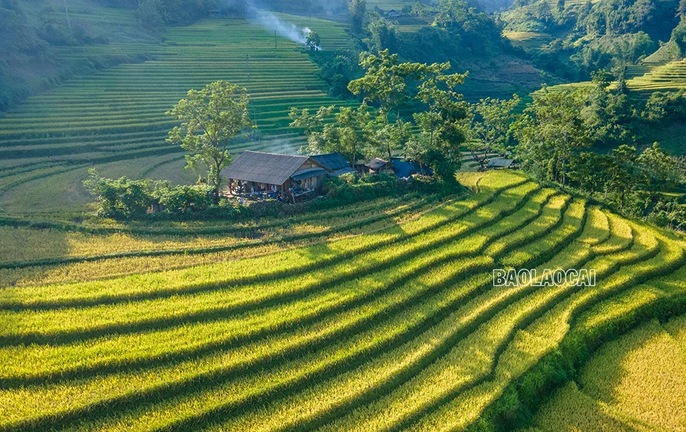 Quyến rũ mùa thu vàng Bát Xát ảnh 2
