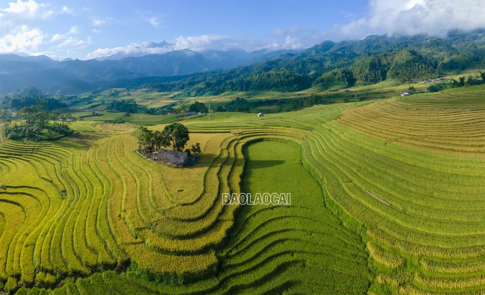 Quyến rũ mùa thu vàng Bát Xát ảnh 4