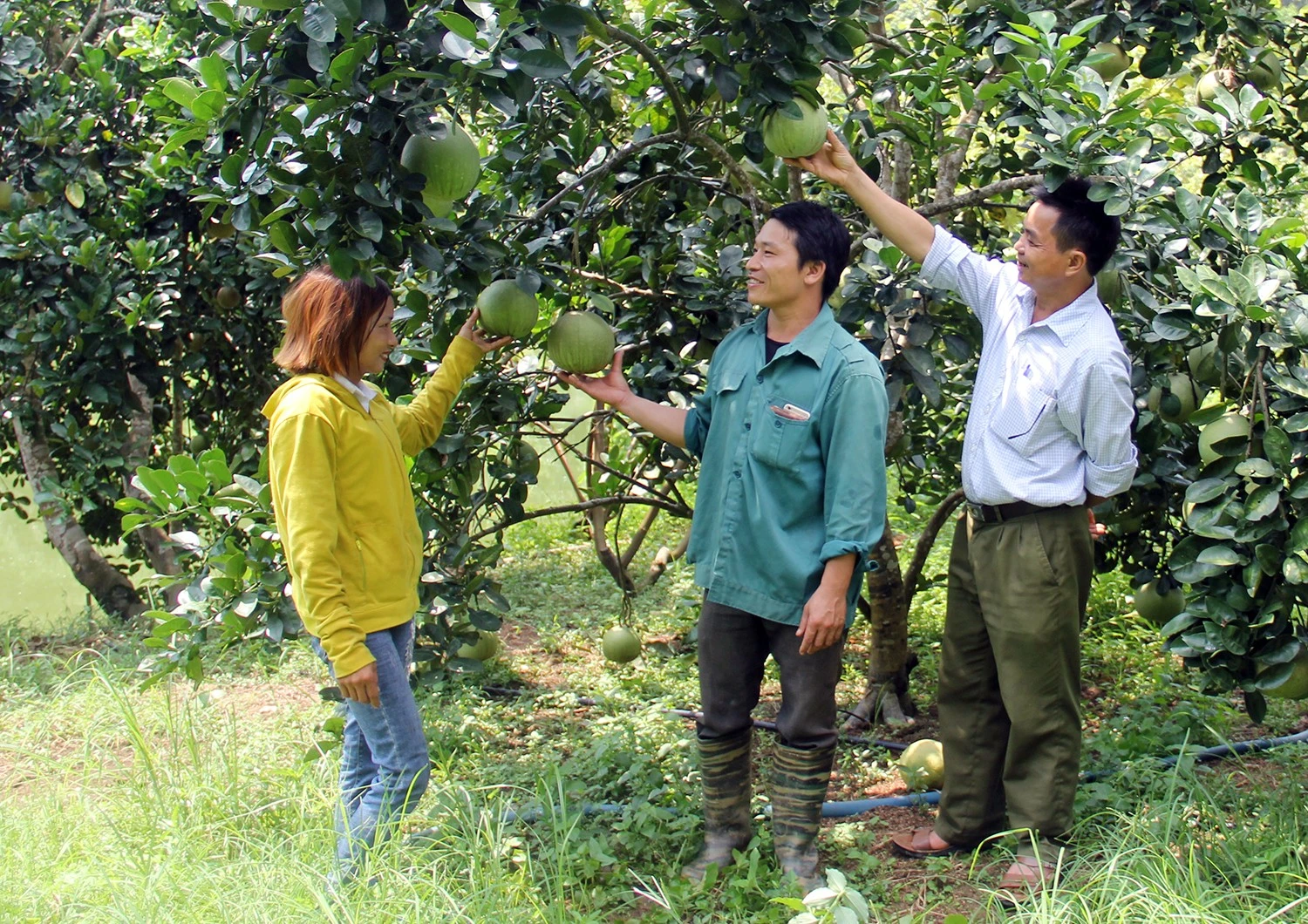Gần 20 doanh nghiệp khảo sát xây dựng chương trình du lịch tại huyện Bát Xát ảnh 2