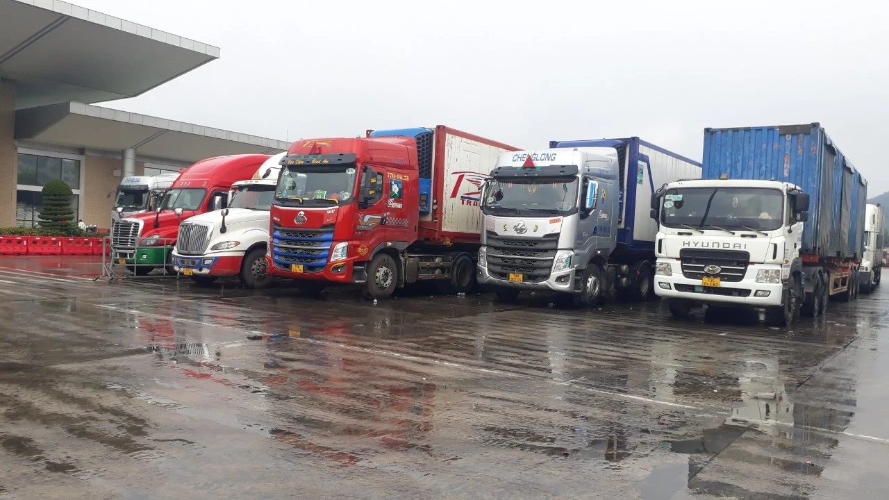 Xuất khẩu trái cây tươi sang Trung Quốc vẫn rất khó khăn ảnh 1
