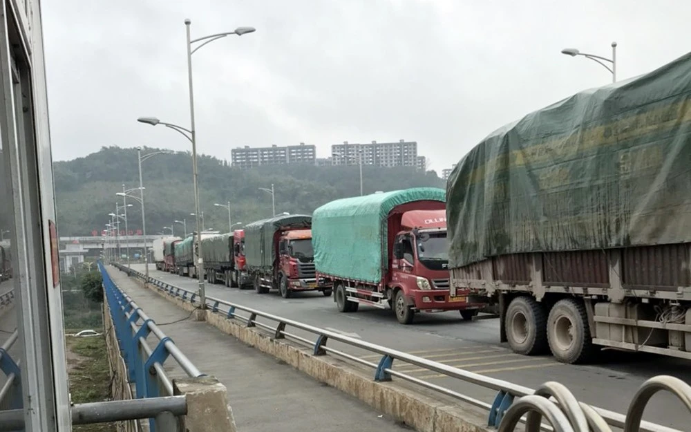 Sáng 8/1, hàng trăm xe tải chở hàng hóa đã được thông quan xuất - nhập khẩu hàng hóa qua Cửa khẩu Quốc tế đường bộ số II Kim Thành.