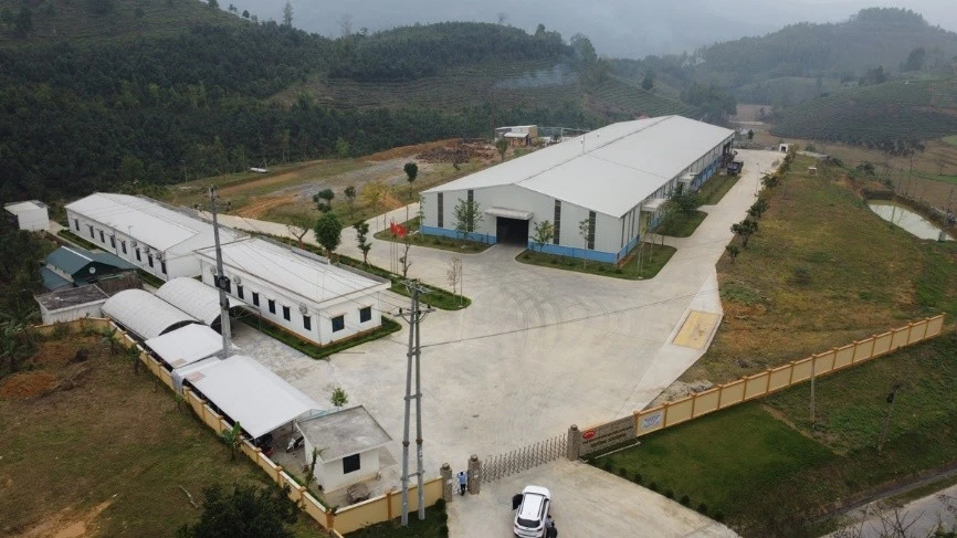 Nhà máy chế biến rau quả xuất khẩu Mường Khương – nơi tiêu thụ 60% lượng quả dứa trên địa bàn tạm dừng sản xuất.